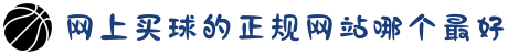 网上买球的正规网站哪个最好