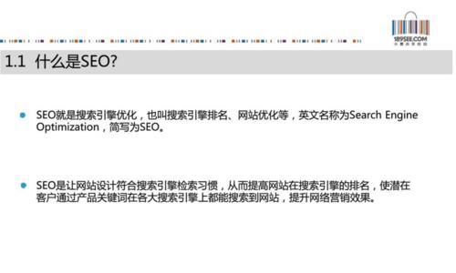 SEO优化指南（了解如何寻找和使用最佳）