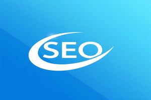 SEO专家：搜索引擎优化基础与策略解析