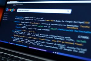 SEO初学者入门:了解搜索引擎优化基本概念及背景(图2) SEO初学者入门:了解搜索引擎优化基本概念及背景